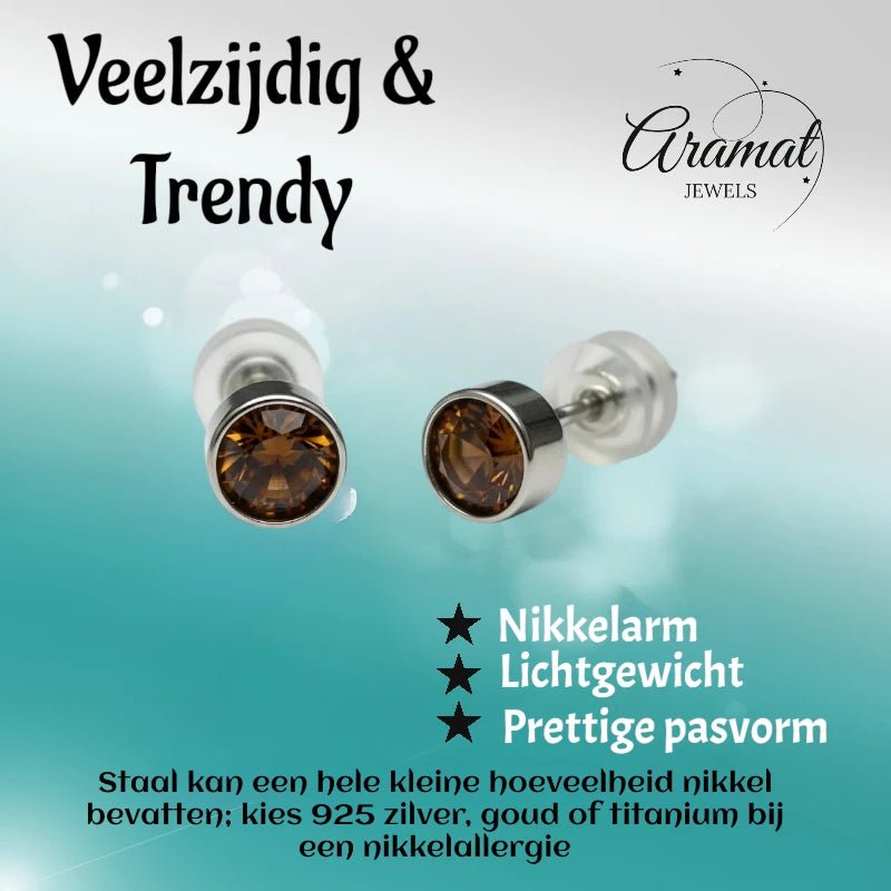 Oorstekers &acirc;&euro;&ldquo; Staal Kristal Bruin Zilverkleur (5mm) -