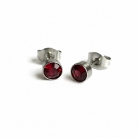 Oorstekers &acirc;&euro;&ldquo; Staal Kristal Rood Zilverkleur (5mm) -