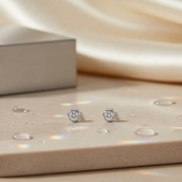 Oorstuds &acirc;&euro;&ldquo; Staal Kristal AB Transparant Zilverkleur (3mm) -