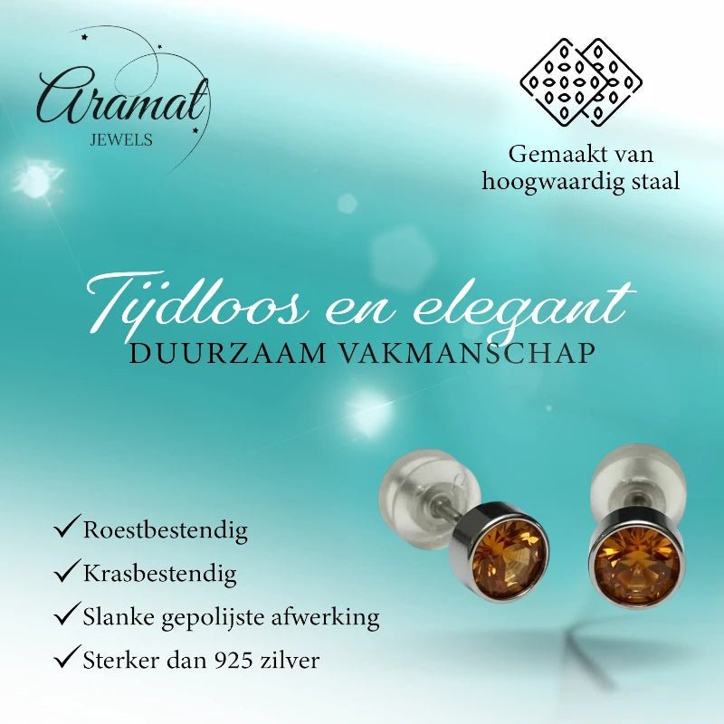 Oorstuds &acirc;&euro;&ldquo; Staal Kristal Topaas Bruin Zilverkleur (5mm) -