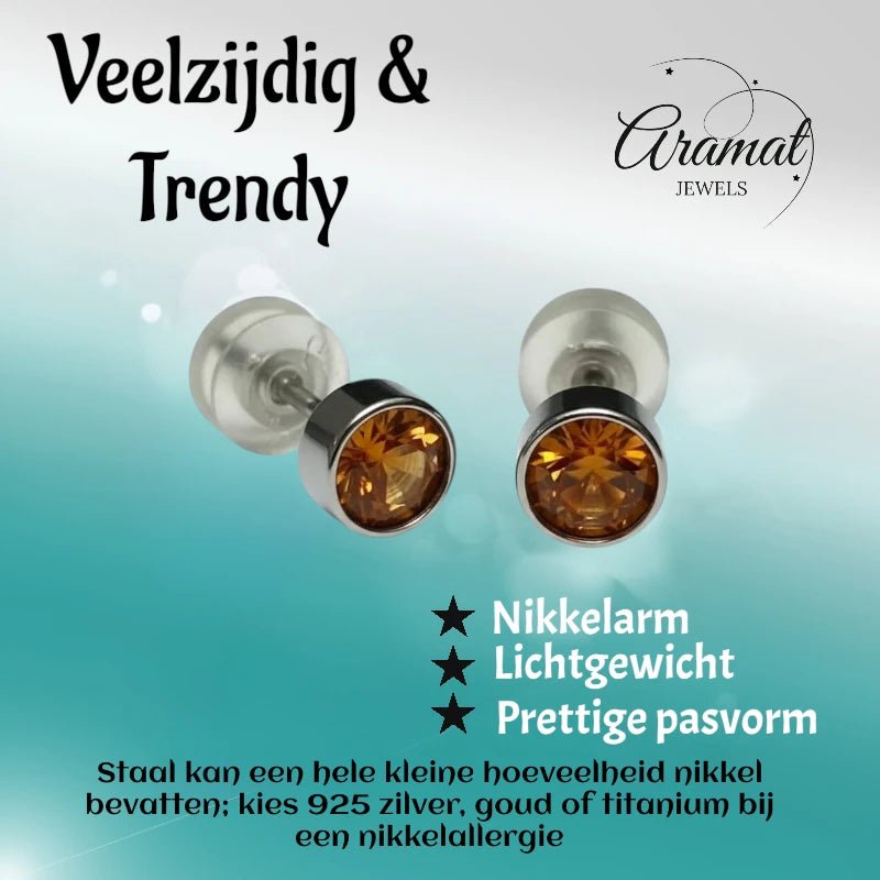 Oorstuds &acirc;&euro;&ldquo; Staal Kristal Topaas Bruin Zilverkleur (5mm) -