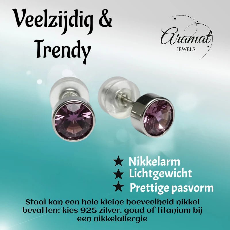 Oorstuds &acirc;&euro;&ldquo; Staal Kristal Licht Paars Zilverkleur (5mm) -