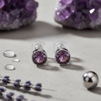 Oorstuds &acirc;&euro;&ldquo; Staal Kristal Licht Paars Zilverkleur (5mm) -
