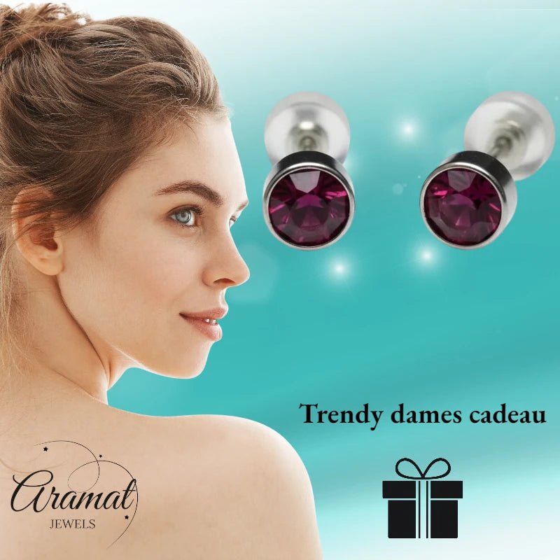 Oorstuds &acirc;&euro;&ldquo; Staal Kristal Paars Zilverkleur (5mm) -