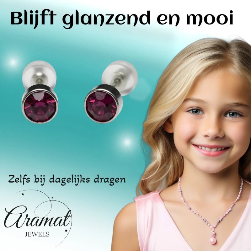 Oorstuds &acirc;&euro;&ldquo; Staal Kristal Paars Zilverkleur (5mm) -