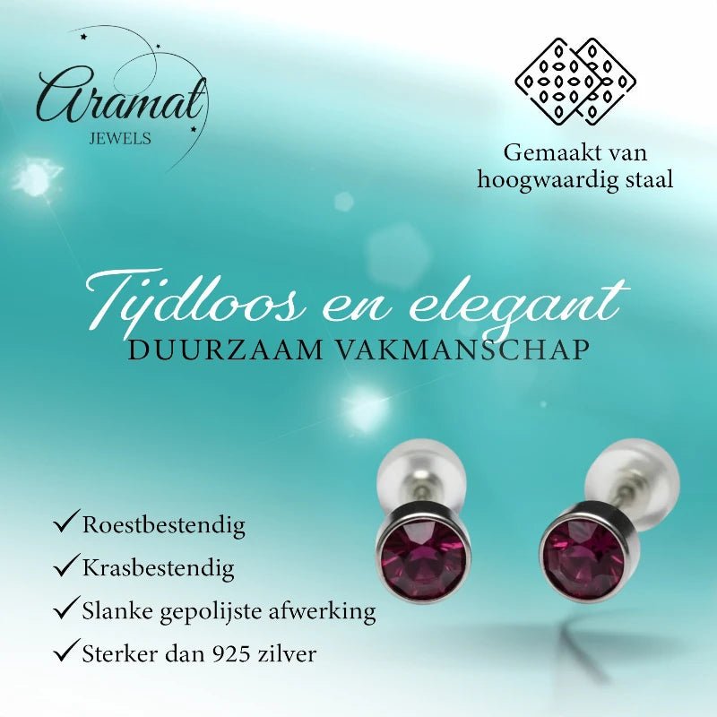 Oorstuds &acirc;&euro;&ldquo; Staal Kristal Paars Zilverkleur (5mm) -