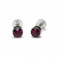 Oorstuds &acirc;&euro;&ldquo; Staal Kristal Paars Zilverkleur (5mm) -