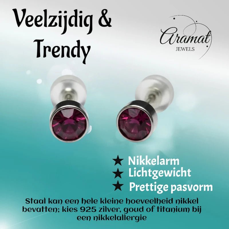 Oorstuds &acirc;&euro;&ldquo; Staal Kristal Paars Zilverkleur (5mm) -