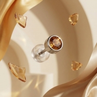 Oorstuds &acirc;&euro;&ldquo; Staal Kristal Topaas Zilverkleur (4mm) -