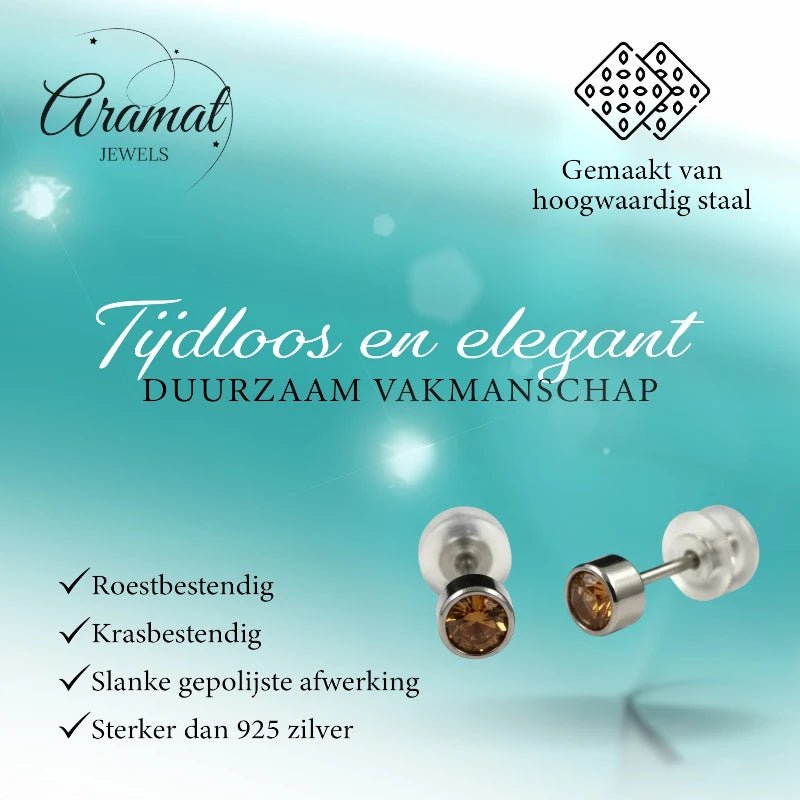 Oorstuds &acirc;&euro;&ldquo; Staal Kristal Topaas Zilverkleur (4mm) -