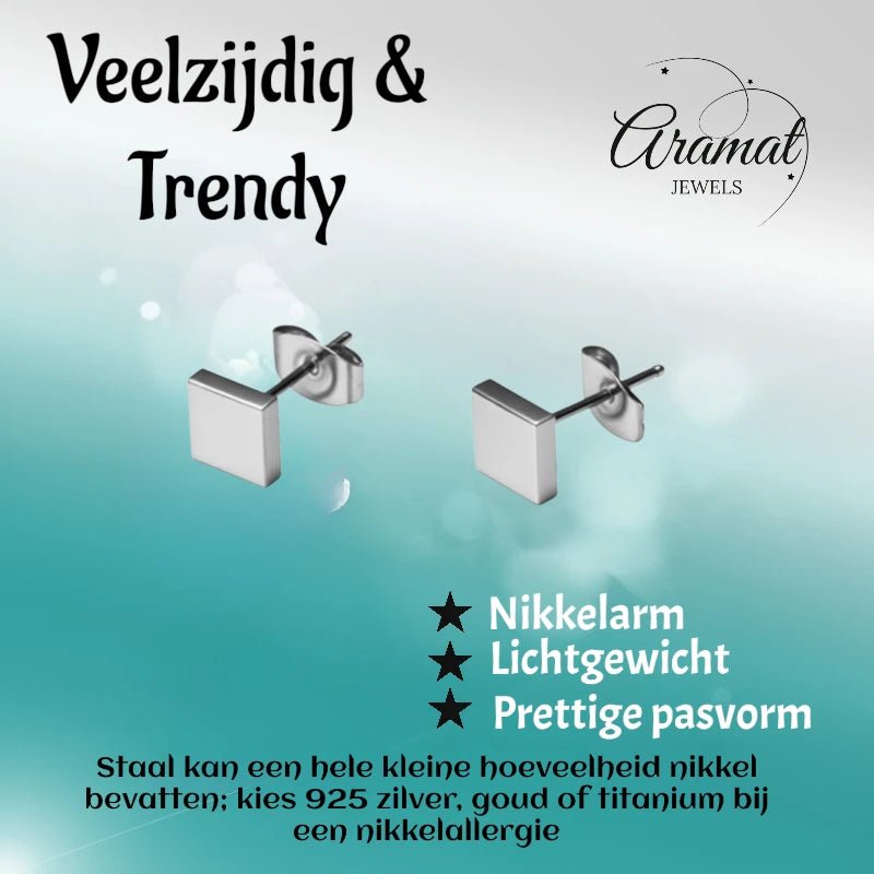 Oorstekers &acirc;&euro;&ldquo; Staal Vierkant Zilverkleurig (6mm) -