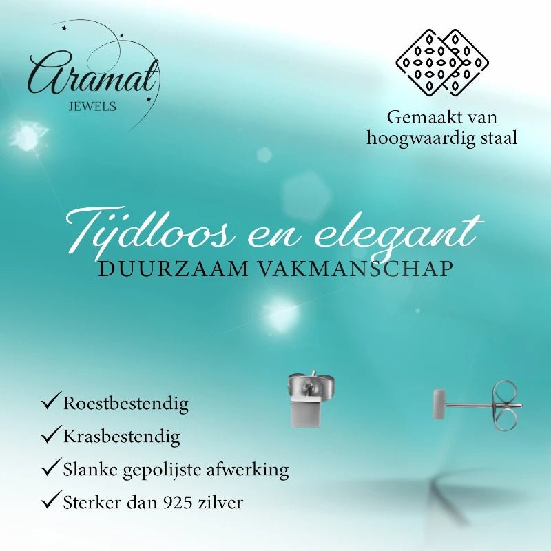 Oorstekers &acirc;&euro;&ldquo; Staal Vierkant Zilverkleurig (4mm) -