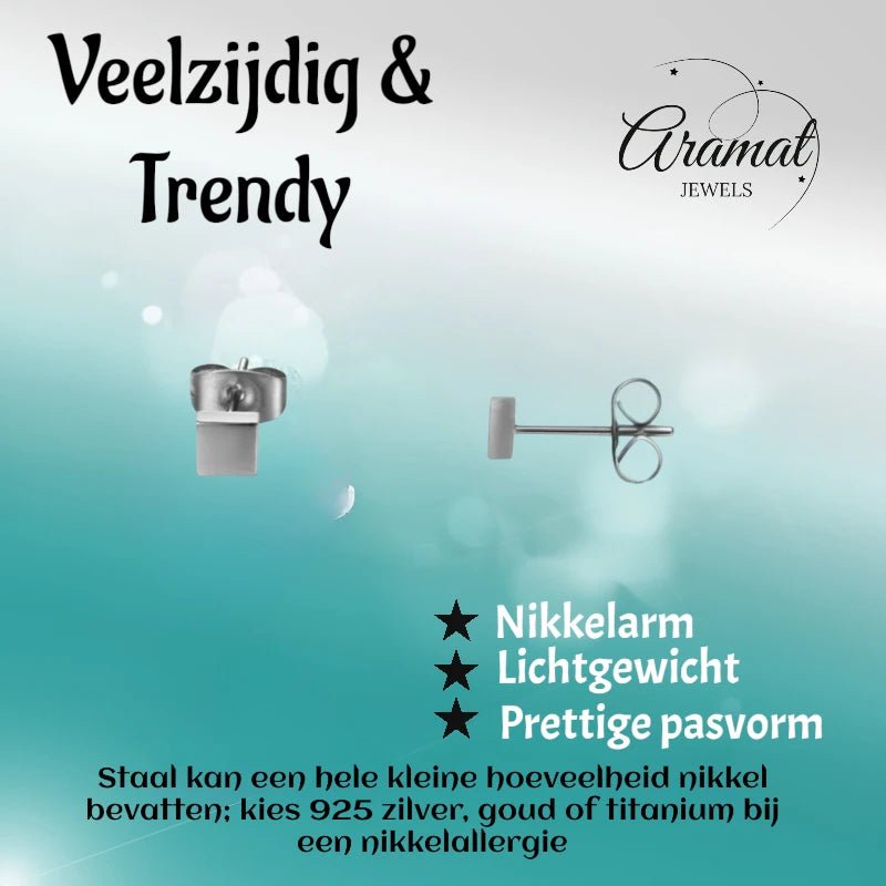 Oorstekers &acirc;&euro;&ldquo; Staal Vierkant Zilverkleurig (4mm) -