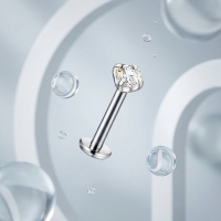 Tragus Helix Piercing &acirc;&euro;&ldquo; Zilverkleur &acirc;&euro;&ldquo; AB Zirkonia (4mm) - Unis
