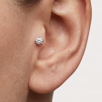 Tragus Helix Piercing &acirc;&euro;&ldquo; Zilverkleur &acirc;&euro;&ldquo; Transparant Zirkonia (4m