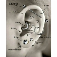 Tragus Helix Piercing &acirc;&euro;&ldquo; Zilverkleur &acirc;&euro;&ldquo; Transparant Zirkonia (4m