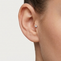 Tragus Helix Piercing &acirc;&euro;&ldquo; Multikleur &acirc;&euro;&ldquo; AB Zirkonia - Unisex