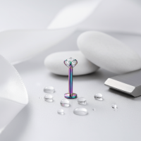 Tragus Helix Piercing &acirc;&euro;&ldquo; Multikleur &acirc;&euro;&ldquo; AB Zirkonia - Unisex