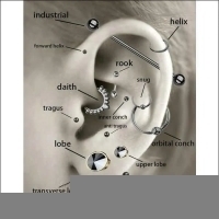 Tragus Helix Piercing &acirc;&euro;&ldquo; Wit Opaal &acirc;&euro;&ldquo; Goudkleur - Unisex