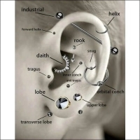 Tragus Helix Piercing &acirc;&euro;&ldquo; Ros&Atilde;&copy;goud &acirc;&euro;&ldquo; Multicolor Zir