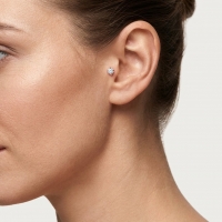Tragus Helix Piercing &acirc;&euro;&ldquo; Ros&Atilde;&copy;goud &acirc;&euro;&ldquo; 6mm Staafje - 