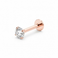 Tragus Helix Piercing &acirc;&euro;&ldquo; Ros&Atilde;&copy;goud &acirc;&euro;&ldquo; 6mm Staafje - 