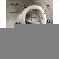 Tragus Helix Piercing &acirc;&euro;&ldquo; Ros&Atilde;&copy;goud &acirc;&euro;&ldquo; 6mm Staafje - 
