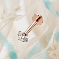 Tragus Helix Piercing &acirc;&euro;&ldquo; Ros&Atilde;&copy;goud &acirc;&euro;&ldquo; 6mm Staafje - 