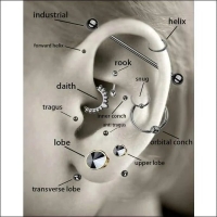 Tragus Helix Piercing &acirc;&euro;&ldquo; Blauw Opaal &acirc;&euro;&ldquo; 6mm Staafje - Unisex