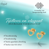Staal Hart Oorstekers Goudkleurig 9x8mm Open -