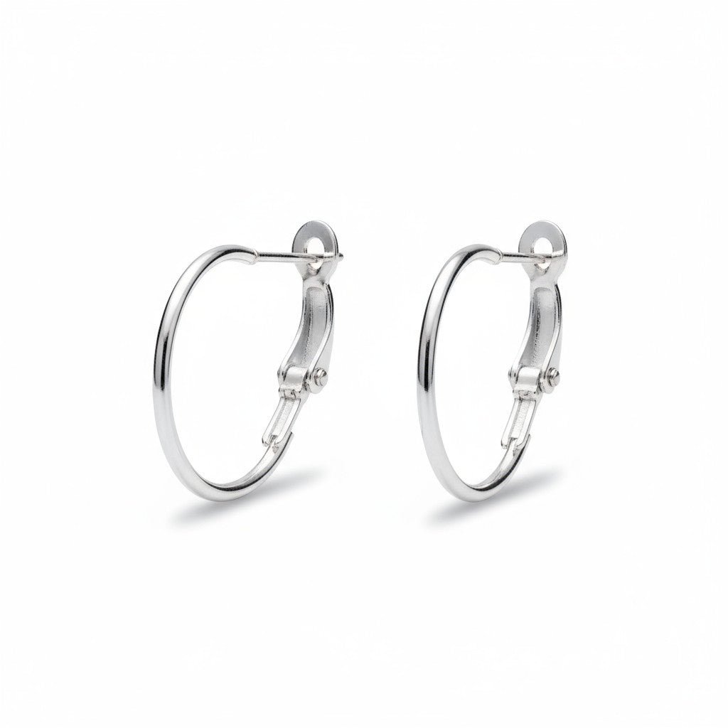 Metalen Oorringen Zilverkleurig 20mm Klapscharnier