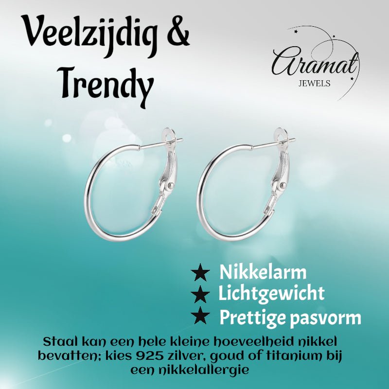 Metalen Oorringen Zilverkleurig 20mm Klapscharnier -
