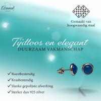 Stalen Kattenoog Oorbellen 8mm &acirc;&euro;&ldquo; Donkerblauw -
