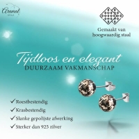 Stalen bolletjes oorstekers met spetters &acirc;&euro;&ldquo; 6mm -