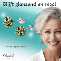 Stalen Bolletjes Oorstekers Spetter &acirc;&euro;&ldquo; 6mm -