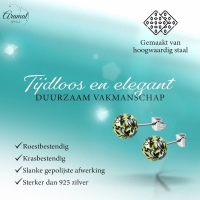 Stalen Bolletjes Oorstekers Spetter &acirc;&euro;&ldquo; 6mm -
