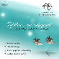 Stalen Oorstekers Veertjes Zilverkleur &acirc;&euro;&ldquo; 9x3mm -