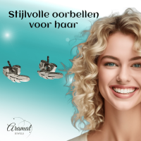 Stalen Oorstekers Veertjes Zilverkleur &acirc;&euro;&ldquo; 9x3mm -