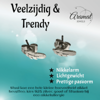 Stalen Oorstekers Veertjes Zilverkleur &acirc;&euro;&ldquo; 9x3mm -