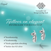 Stalen Oorbellen Veertjes Zilverkleur &acirc;&euro;&ldquo; 9x3mm -