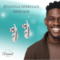 Stalen Oorbellen Veertjes Zilverkleur &acirc;&euro;&ldquo; 9x3mm -