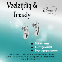 Stalen Oorbellen Veertjes Zilverkleur &acirc;&euro;&ldquo; 9x3mm -