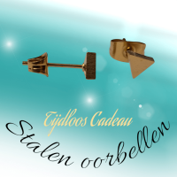 RVS Driehoek Oorbellen Goudkleur 5mm - Geometrische Oorstekers -