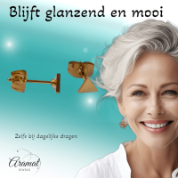 Stalen Oorbellen Driehoek Goudkleur &acirc;&euro;&ldquo; 4mm -