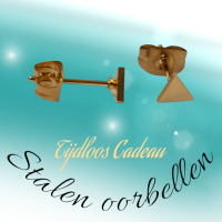 Stalen Oorbellen Driehoek Goudkleur &acirc;&euro;&ldquo; 4mm -