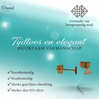 Stalen Oorbellen Driehoek Goudkleur &acirc;&euro;&ldquo; 4mm -