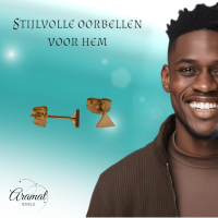 Stalen Oorbellen Driehoek Goudkleur &acirc;&euro;&ldquo; 4mm -