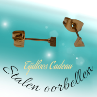 Stalen Oorbellen Driehoek Goudkleur &acirc;&euro;&ldquo; 3mm -