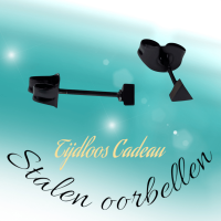 Stalen Oorbellen Driehoek Zwart &acirc;&euro;&ldquo; 3mm -