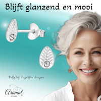 Zilveren Blaadje Oorbellen Kristal &acirc;&euro;&ldquo; 6x4mm -